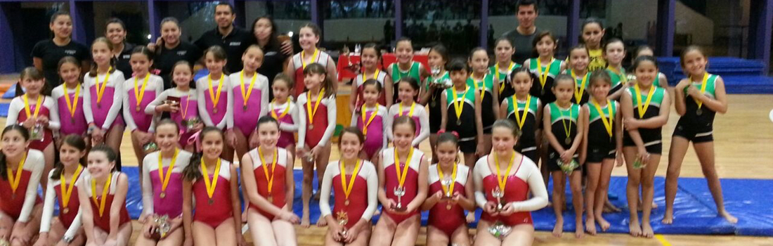 Gym con equipo cardiovascular